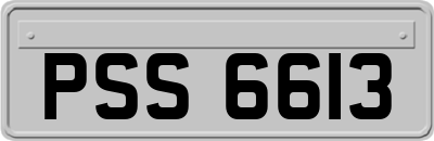 PSS6613