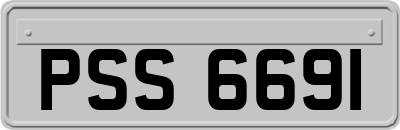 PSS6691