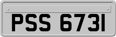 PSS6731