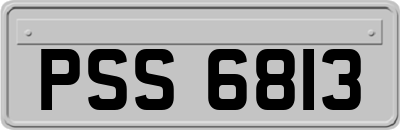 PSS6813