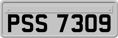 PSS7309