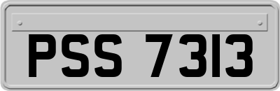 PSS7313