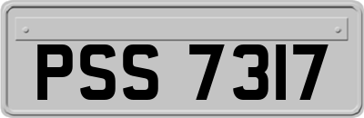 PSS7317