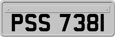 PSS7381