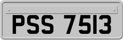 PSS7513