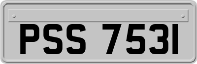 PSS7531