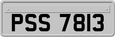 PSS7813
