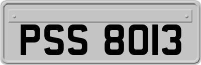 PSS8013