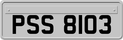 PSS8103
