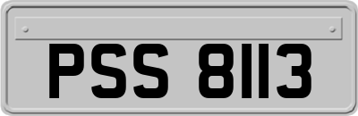 PSS8113