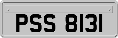 PSS8131