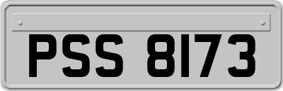 PSS8173
