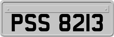 PSS8213