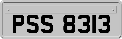 PSS8313