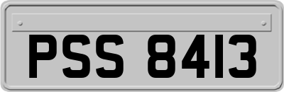 PSS8413