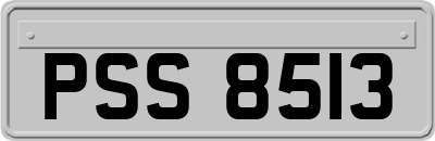 PSS8513