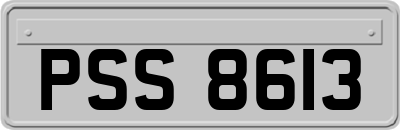 PSS8613