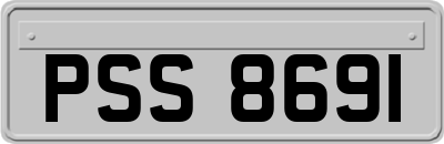 PSS8691