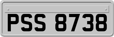 PSS8738