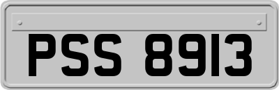 PSS8913