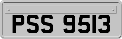 PSS9513