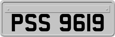PSS9619