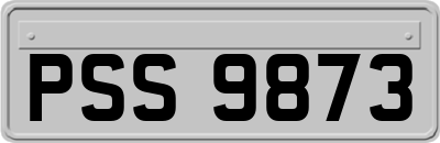 PSS9873