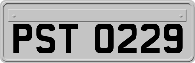 PST0229