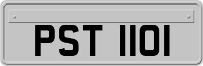 PST1101