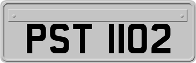 PST1102