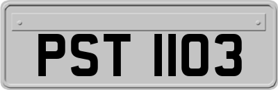PST1103