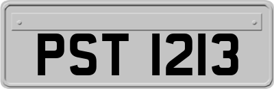 PST1213
