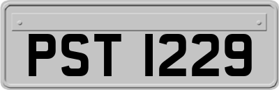 PST1229