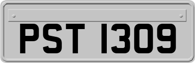 PST1309