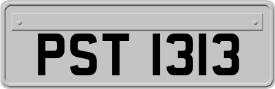 PST1313