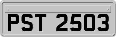 PST2503