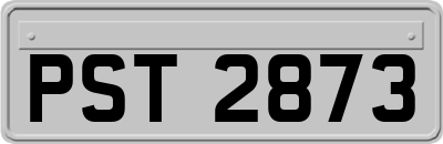 PST2873