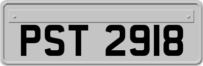 PST2918