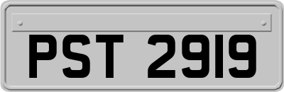 PST2919