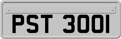 PST3001