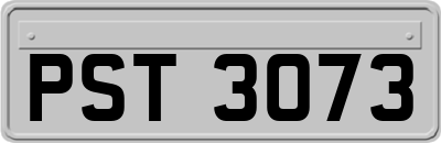 PST3073