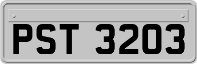 PST3203