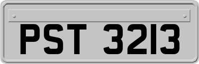PST3213