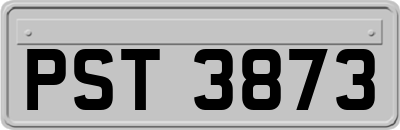 PST3873