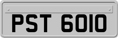 PST6010