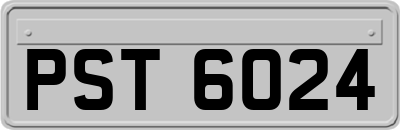 PST6024