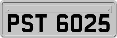 PST6025