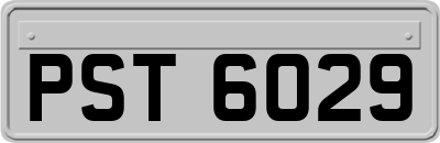 PST6029