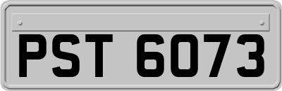 PST6073