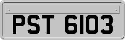 PST6103